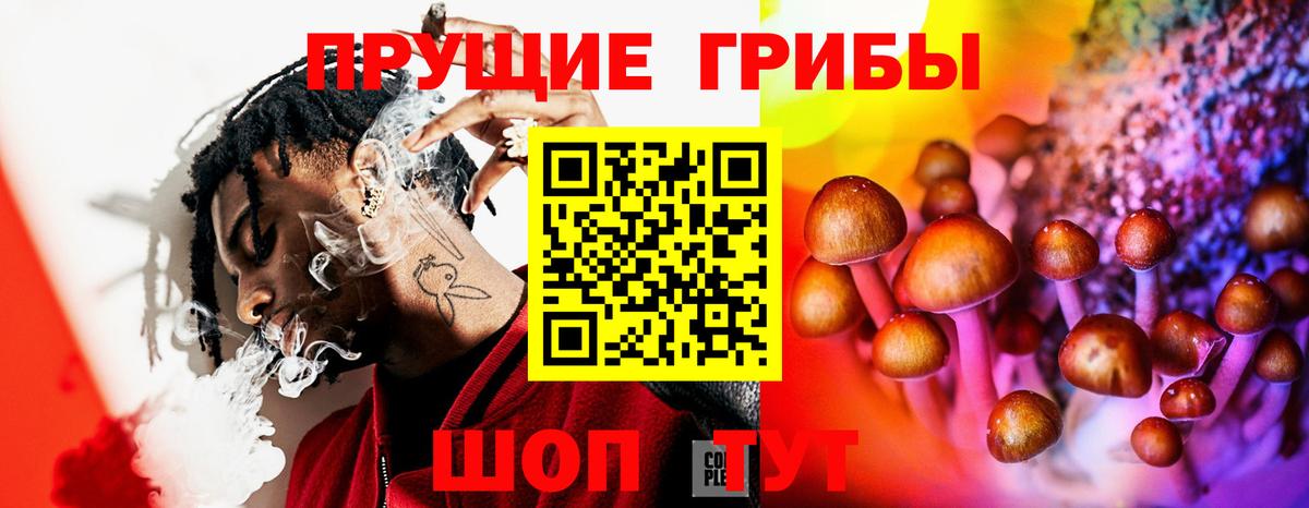 Галлюциногенные грибы Psilocybine cubensis  Вход с VPN  Луховицы 